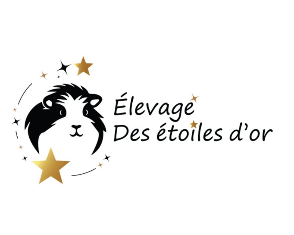 Logo étoiles d’or